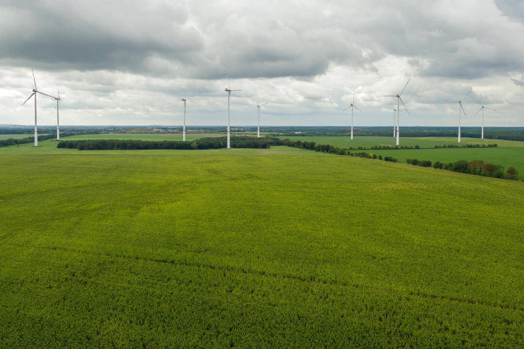 Landschap en Mens illustratie